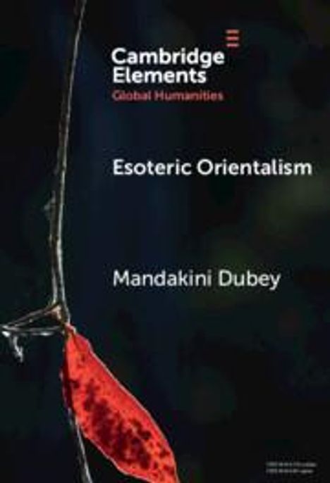 Mandakini Dubey: Esoteric Orientalism, Buch