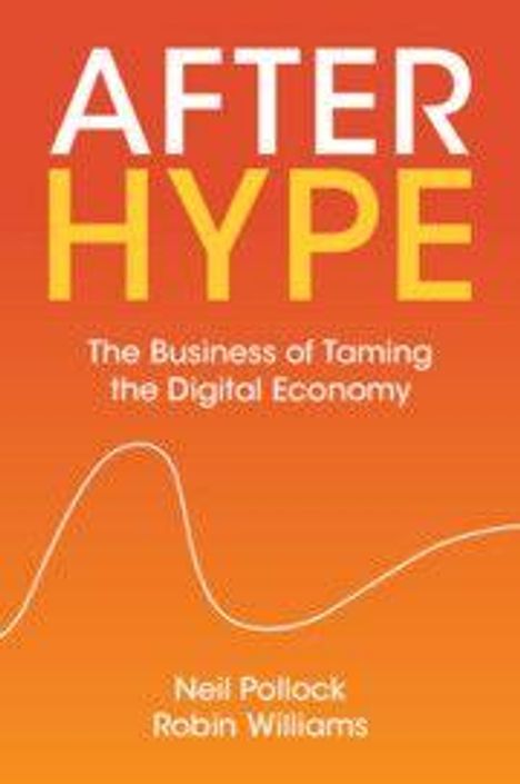 „AFTER HYPE: The Business of Taming the Digital Economy“ von Neil Pollock, Robin Williams. Orangefarbener Hintergrund.