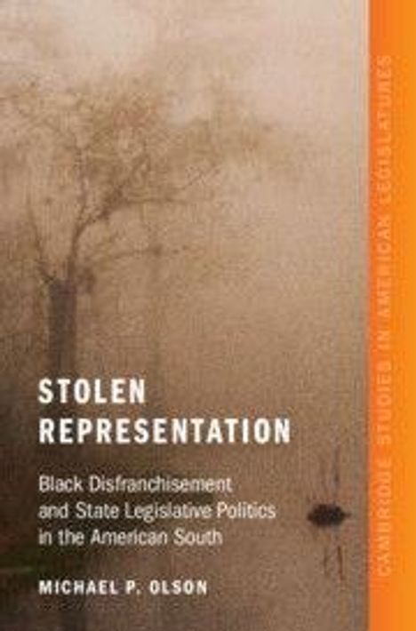 Michael P. Olson: Stolen Representation, Buch