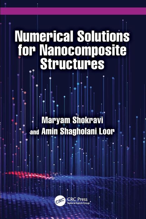 "Numerical Solutions for Nanocomposite Structures" mit Namen Maryam Shokravi und Amin Shagholani Loor. Bunte, vertikale Linien.