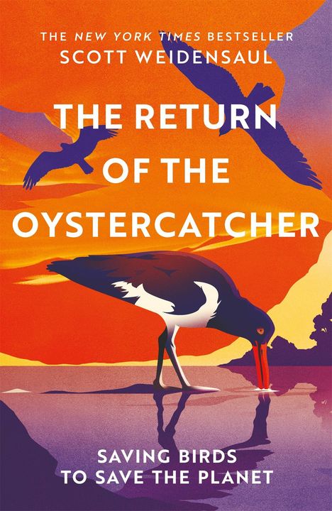"THE RETURN OF THE OYSTERCATCHER" von Scott Weidensaul. Illustration: Vogel im Wasser mit dramatischem, orangefarbenem Himmel.