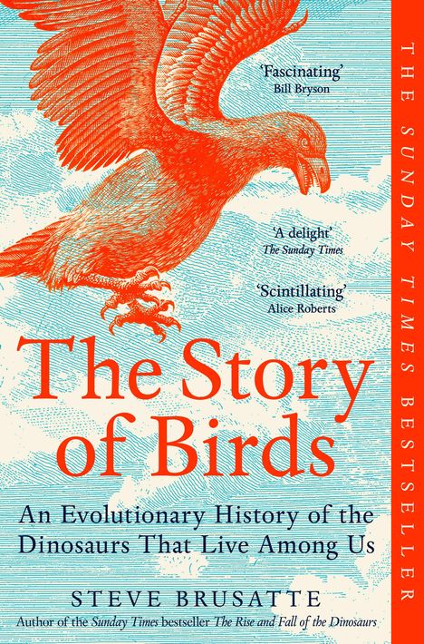 "The Story of Birds" von Steve Brusatte, Cover in Rot und Blau, Vogelillustration, The Sunday Times Bestseller.