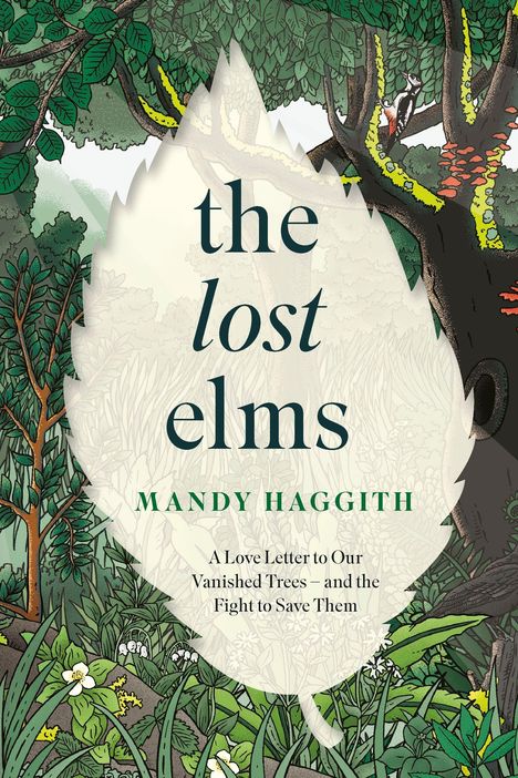 "The lost elms. Mandy Haggith. A Love Letter to Our Vanished Trees – and the Fight to Save Them." Illustration von Wald.