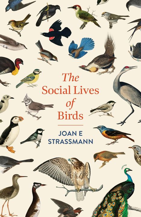 Joan E. Strassmann: The Social Lives of Birds, Buch