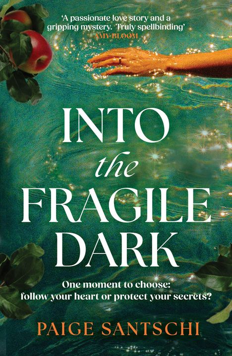 Text: "INTO THE FRAGILE DARK", "Paige Santschi", "HEADLINE", "COVER TO BE REVEALED". Auf blauem Hintergrund mit einfachem Layout.