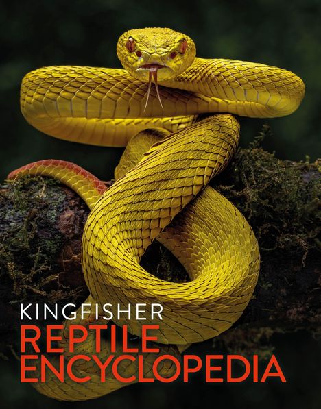 „KINGFISHER REPTILE ENCYCLOPEDIA“. Eine gelbe Schlange windet sich um einen Ast, ihre Zunge ist ausgestreckt.
