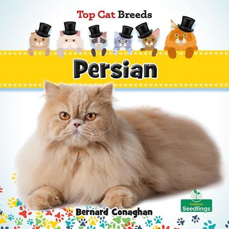 Bernard Conaghan: Persian, Buch