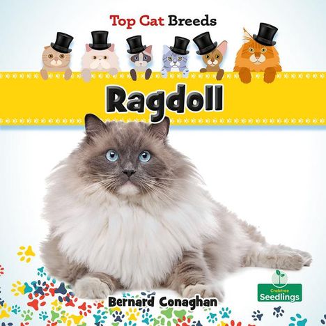 Bernard Conaghan: Ragdoll, Buch