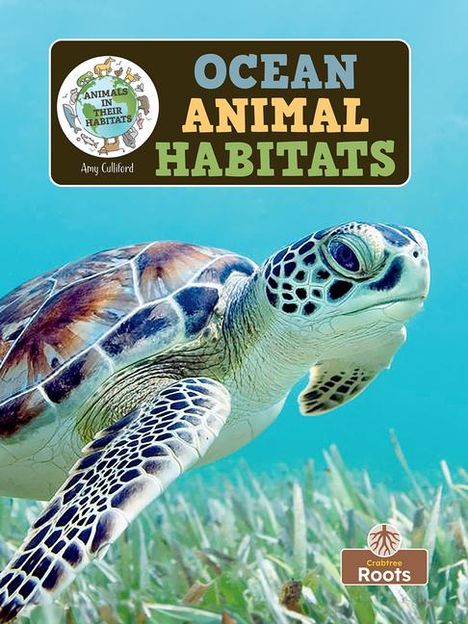 Amy Culliford: Ocean Animal Habitats, Buch