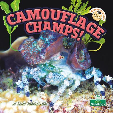 Tracy Vonder Brink: Camouflage Champs!, Buch
