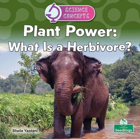 "Plant Power: What Is a Herbivore?" Ein Elefant steht im Wasser und kaut auf Pflanzen. Im Hintergrund grüne Vegetation.