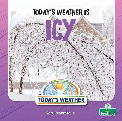 "Today’s weather is icy." Darunter eine winterliche Szene mit vereisten Bäumen. Unten ein Wetter-Logo.