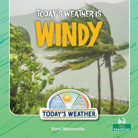 "Today's Weather is Windy." Stark geneigte Palmen unterstreichen den windigen Tag.