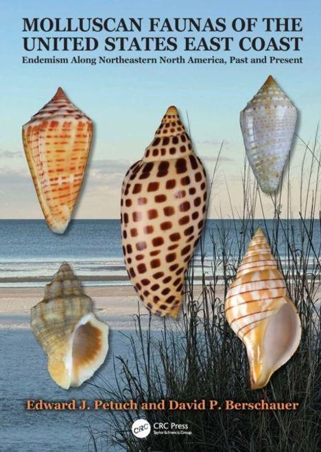 Titel: "MOLLUSCAN FAUNAS OF THE UNITED STATES EAST COAST". Verschiedene Muscheln über einem Strandhintergrund.