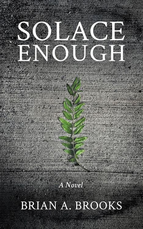 „Solace Enough“, „A Novel“, „Brian A. Brooks“; Grüner Farn auf grauem Betonhintergrund.