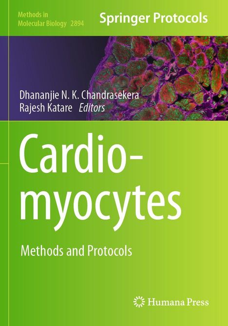 Methods in Molecular Biology 2894. Springer Protocols. Cardiomyocytes: Methods and Protocols. Grünes Design mit Zellbild.