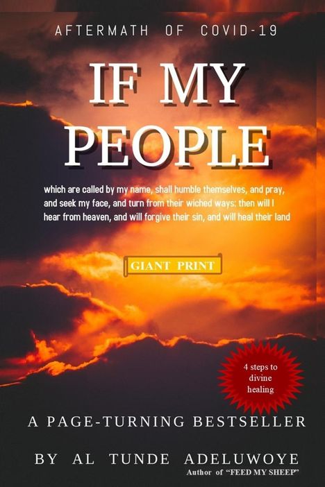 Al T Adeluwoye: If My People, Buch