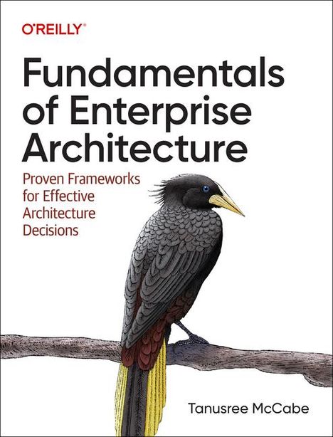Tanusree McCabe: Fundamentals of Enterprise Architecture, Buch