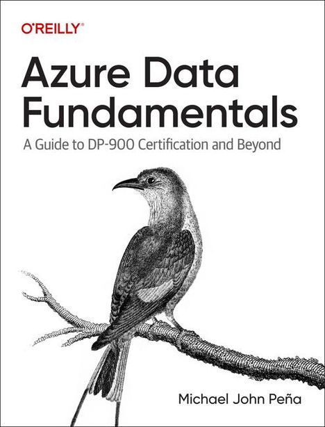 Michael Pena: Azure Data Fundamentals, Buch