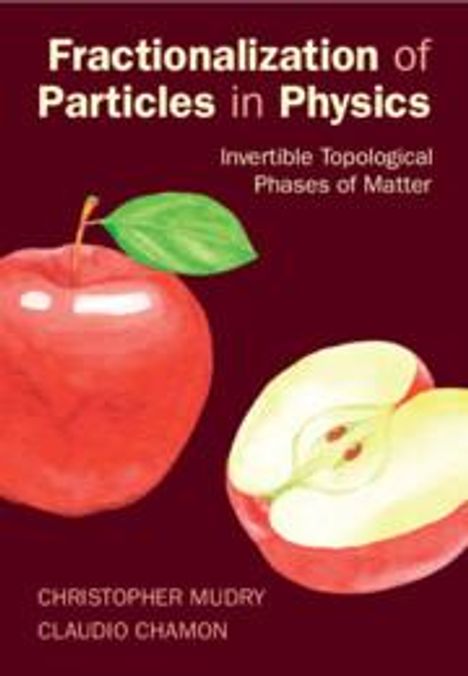 Christopher Mudry: Fractionalization of Particles in Physics, Buch