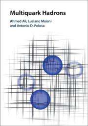 Ahmed Ali: Multiquark Hadrons, Buch