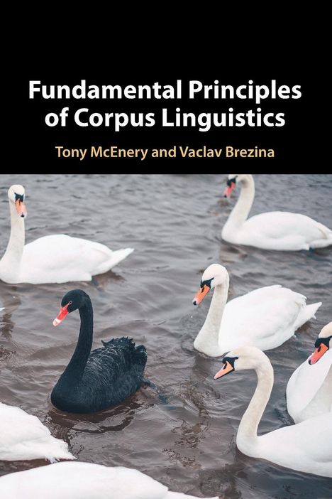 Tony Mcenery: Fundamental Principles of Corpus Linguistics, Buch