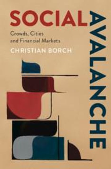 Christian Borch: Social Avalanche, Buch