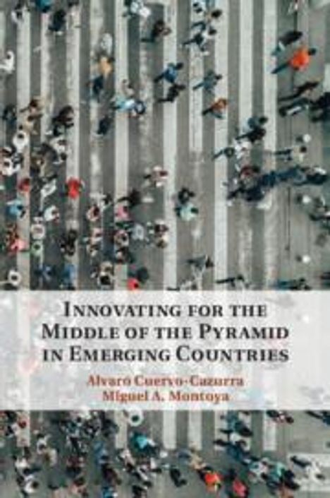 Innovating for the Middle of the Pyramid in Emerging Countries, Buch