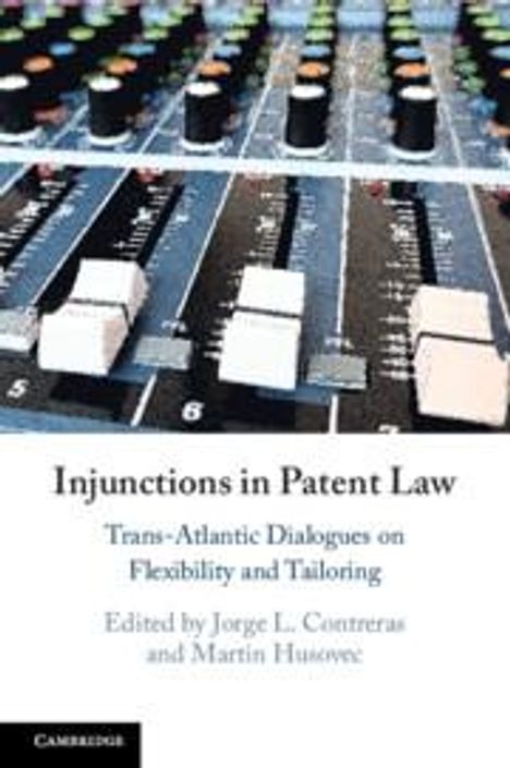 Injunctions in Patent Law, Buch