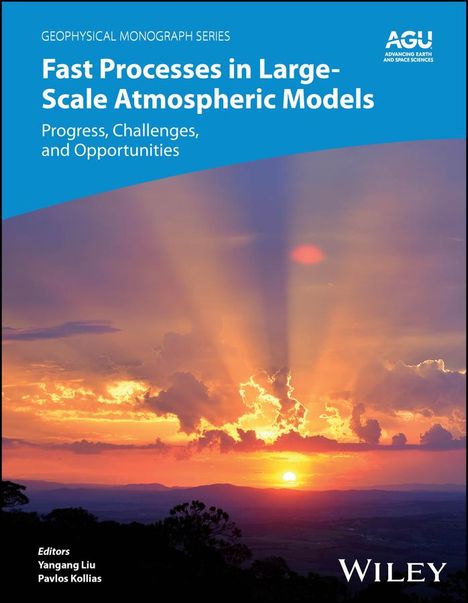 Liu: Fast Physics in Large Scale Atmospheric Models: Pa rameterization, Evaluation, and Observations, Buch