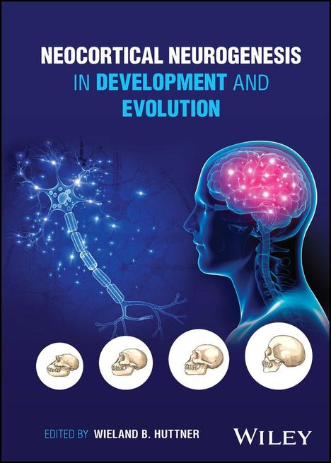 W Huttner: Neocortical Neurogenesis in Development and Evolut ion, Buch