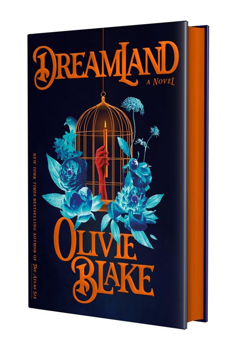 "DREAMLAND A NOVEL" und "OLIVIE BLAKE". Eine Illustration zeigt Blumen, einen Vogel, eine Hand mit Kerze in einem Käfig.
