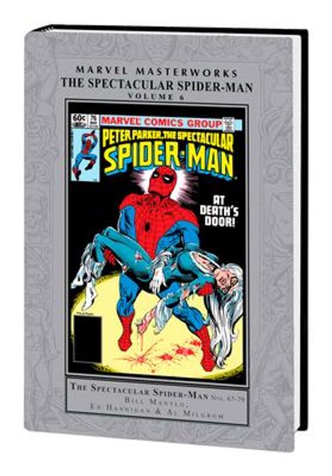 Bill Mantlo: Marvel Masterworks: The Spectacular Spider-Man Vol. 6, Buch