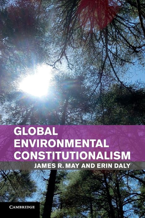 Erin Daly: Global Environmental Constitutionalism, Buch