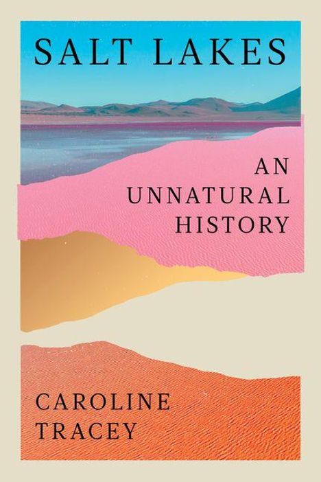 "SALT LAKES: An Unnatural History" von Caroline Tracey. Farbenfrohe, zerrissene Sandschichten und ein Landschaftsbild.