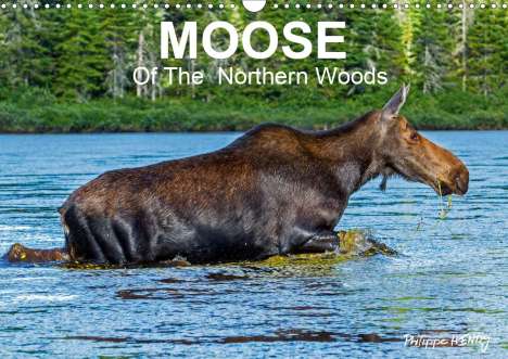 Philippe Henry: Henry, P: MOOSE Of The Northern Woods (Wall Calendar 2020 DI, Kalender