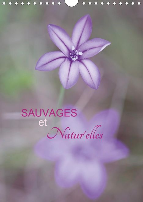 Cécile Gans: Gans, C: Sauvages &amp; natur'elles (Calendrier mural 2020 DIN A, Kalender