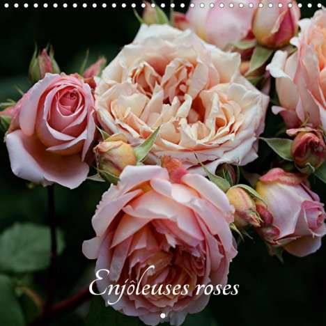 Thierry Brillard: Brillard, T: Enjôleuses roses (Calendrier mural 2020 300 × 3, Kalender