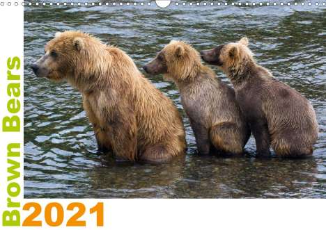 Max Steinwald: Steinwald, M: Brown Bears 2021 UK-Version (Wall Calendar 202, Kalender