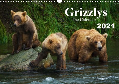 Max Steinwald: Steinwald, M: Grizzlys - The Calendar UK-Version (Wall Calen, Kalender