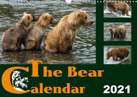 Max Steinwald: Steinwald, M: Bear Calendar / UK-Version (Wall Calendar 2021, Kalender