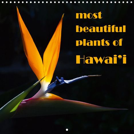 Rudolf Friederich: Friederich, R: most beautiful plants of Hawai'i (Wall Calend, Kalender