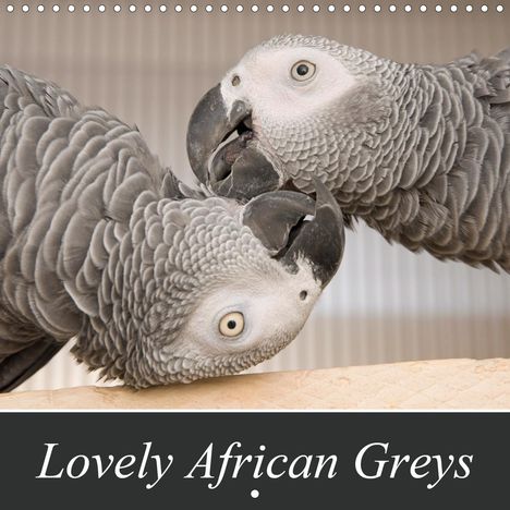 Nadine Keller: Keller, N: Lovely African Greys (Wall Calendar 2021 300 × 30, Kalender