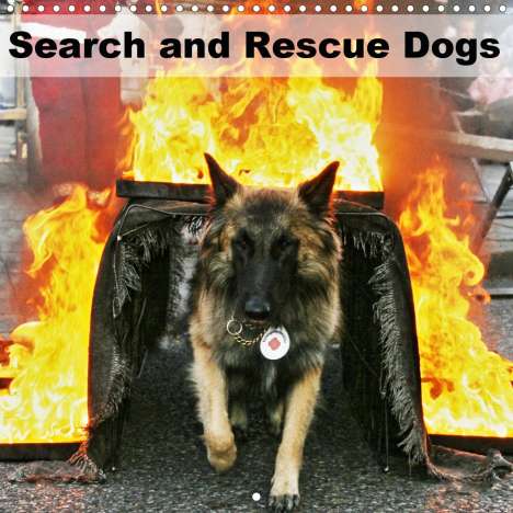 Ulf Mirlieb: Mirlieb, U: Search and Rescue Dogs (Wall Calendar 2021 300 ×, Kalender