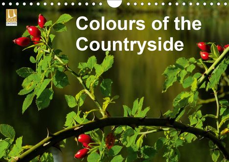 Richard Brooks: Brooks, R: Colours of the Countryside (Wall Calendar 2021 DI, Kalender