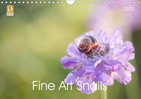 Isabella Kramer: Kramer, I: Fine Art Snails (Wall Calendar 2021 DIN A4 Landsc, Kalender