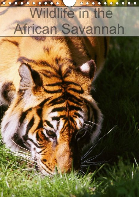 Dominique Leroy: Leroy, D: Wildlife in the African Savannah (Wall Calendar 20, Kalender