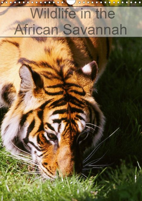 Dominique Leroy: Leroy, D: Wildlife in the African Savannah (Wall Calendar 20, Kalender