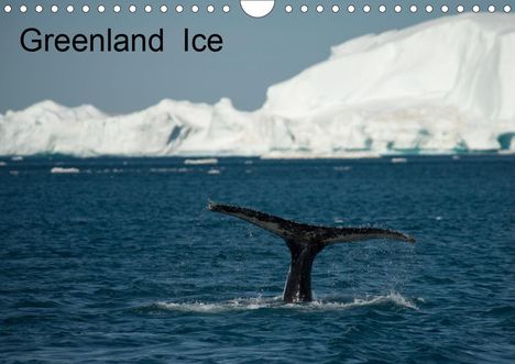 Andre Poling: Poling, A: Greenland Ice (Wall Calendar 2021 DIN A4 Landsca, Kalender