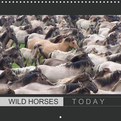 Angelika Keller: Keller, A: Wild horses today (Wall Calendar 2021 300 × 300 m, Kalender
